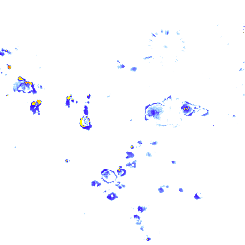 Image Layer