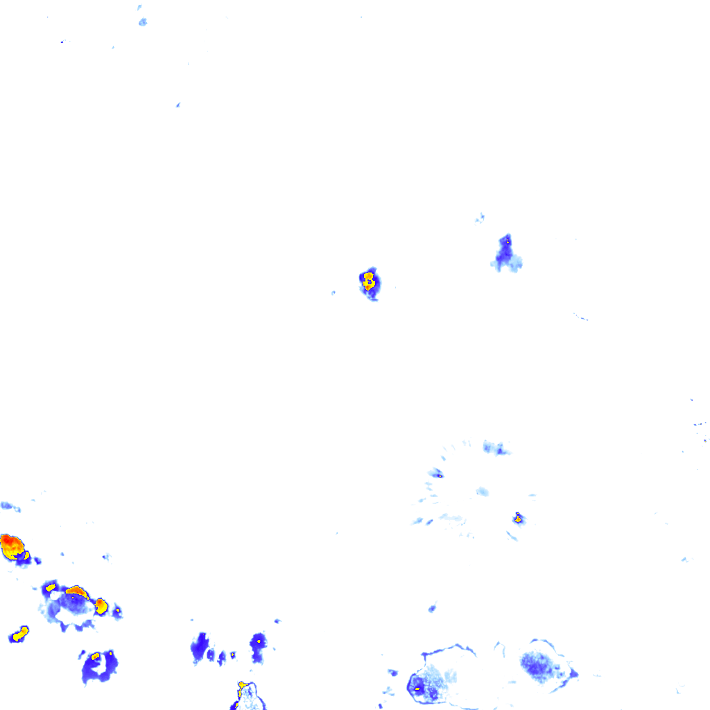 rainLayer