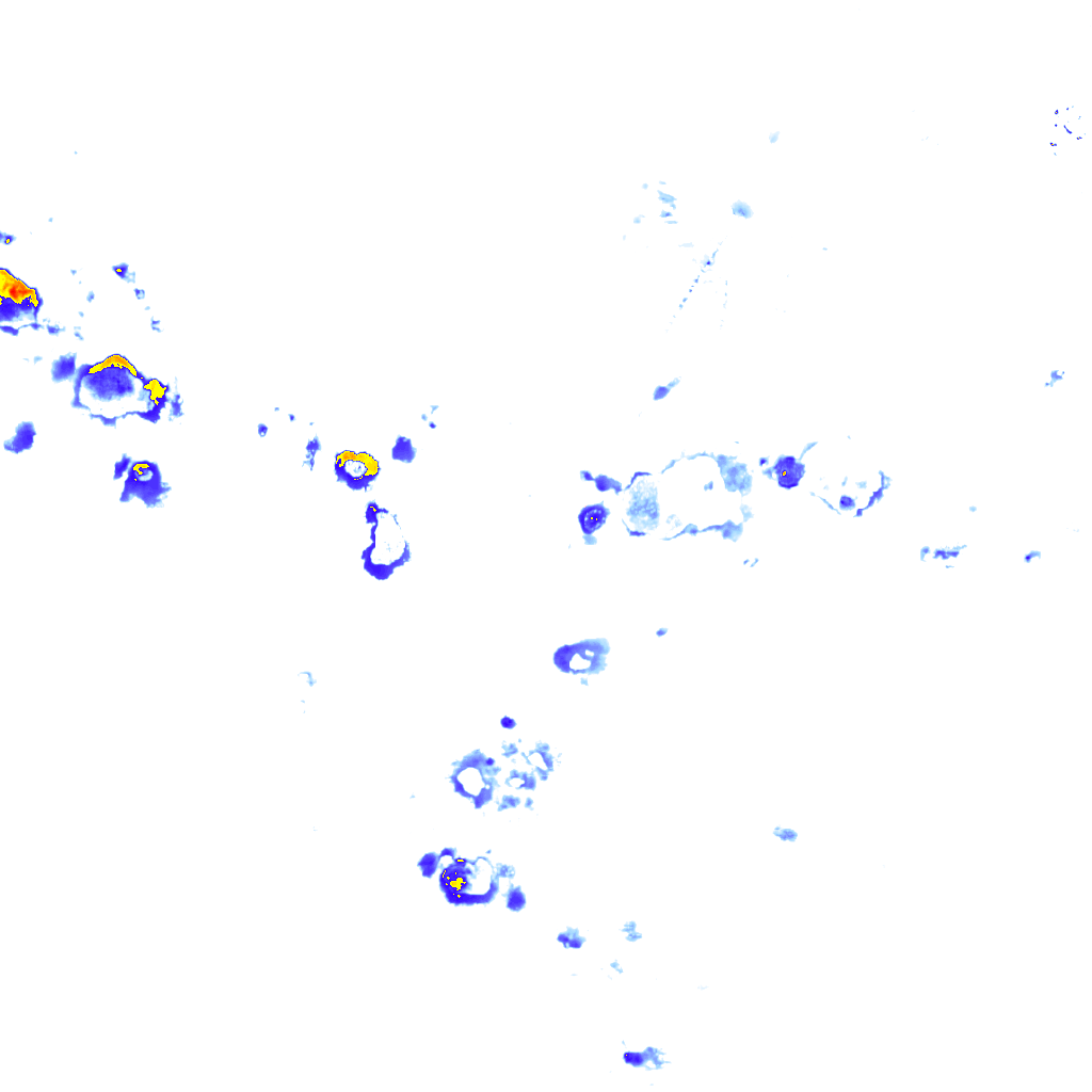 rainLayer