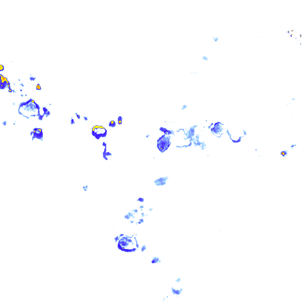 rainLayer