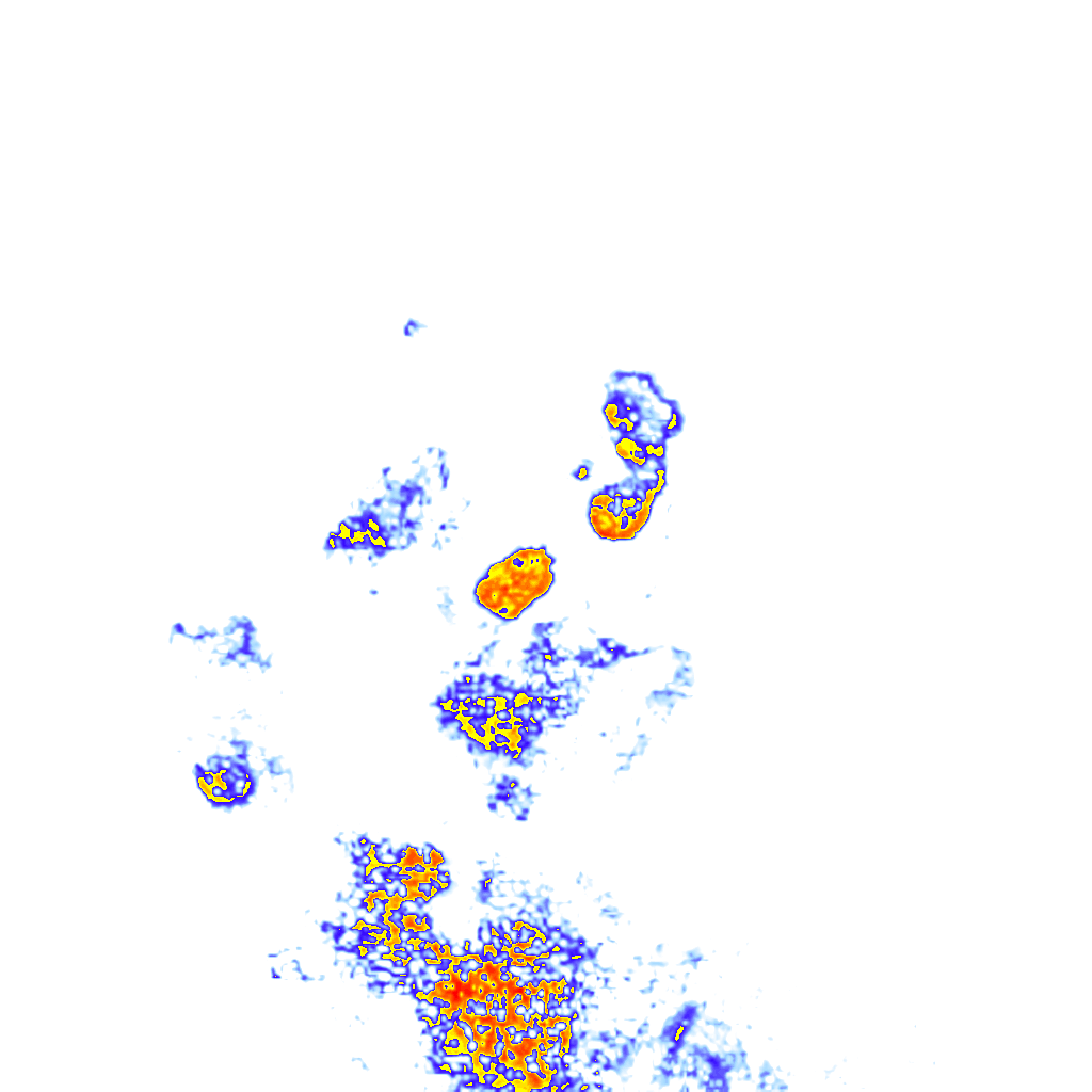 rainLayer