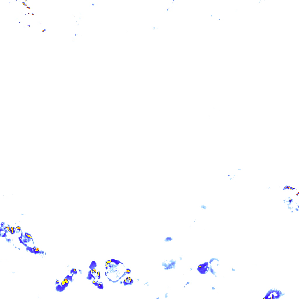 rainLayer