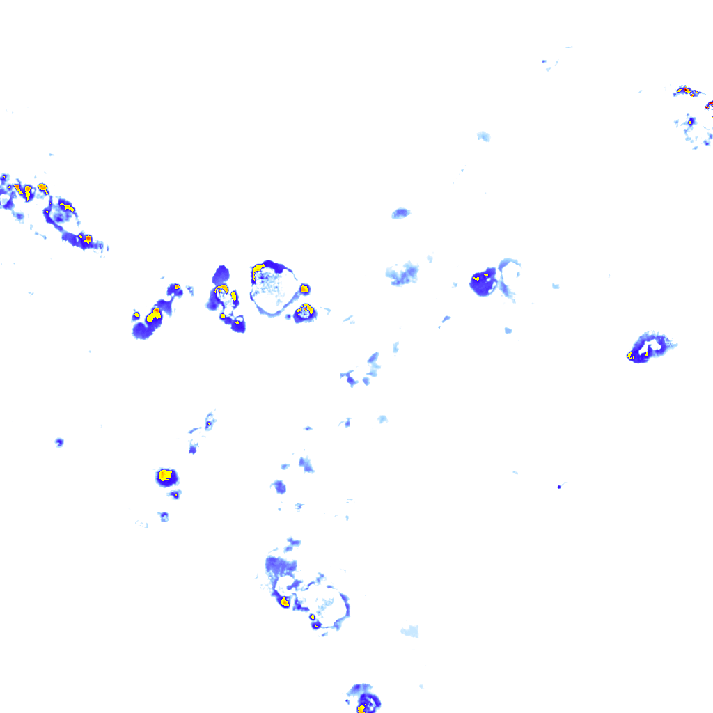 Image Layer
