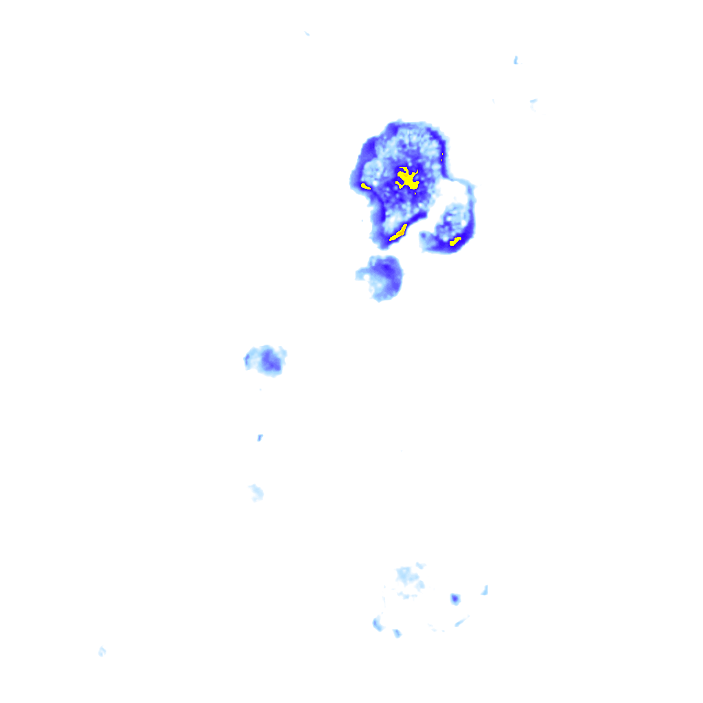 Image Layer