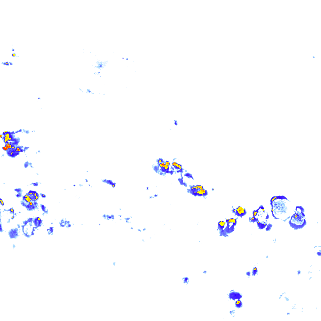 rainLayer