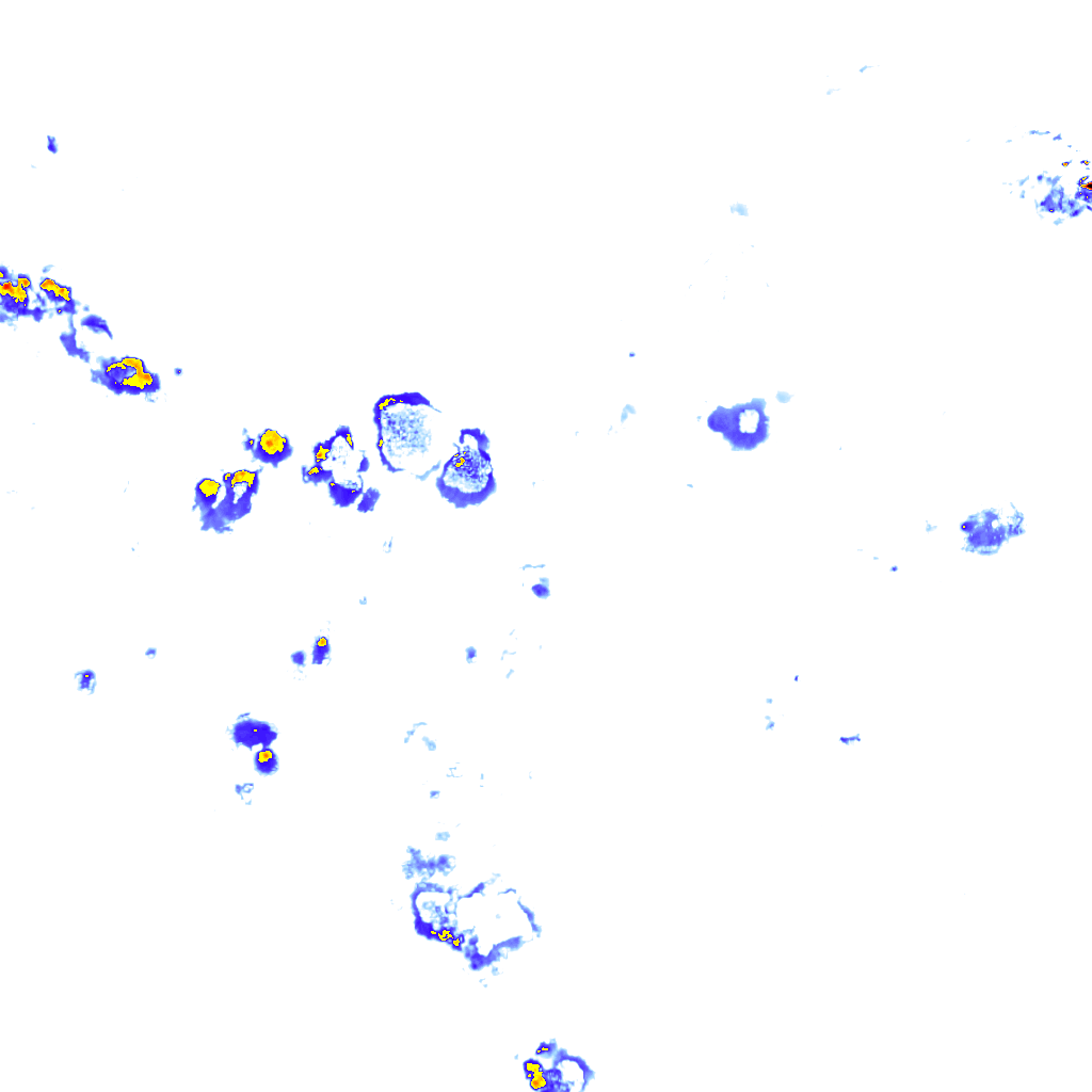 Image Layer