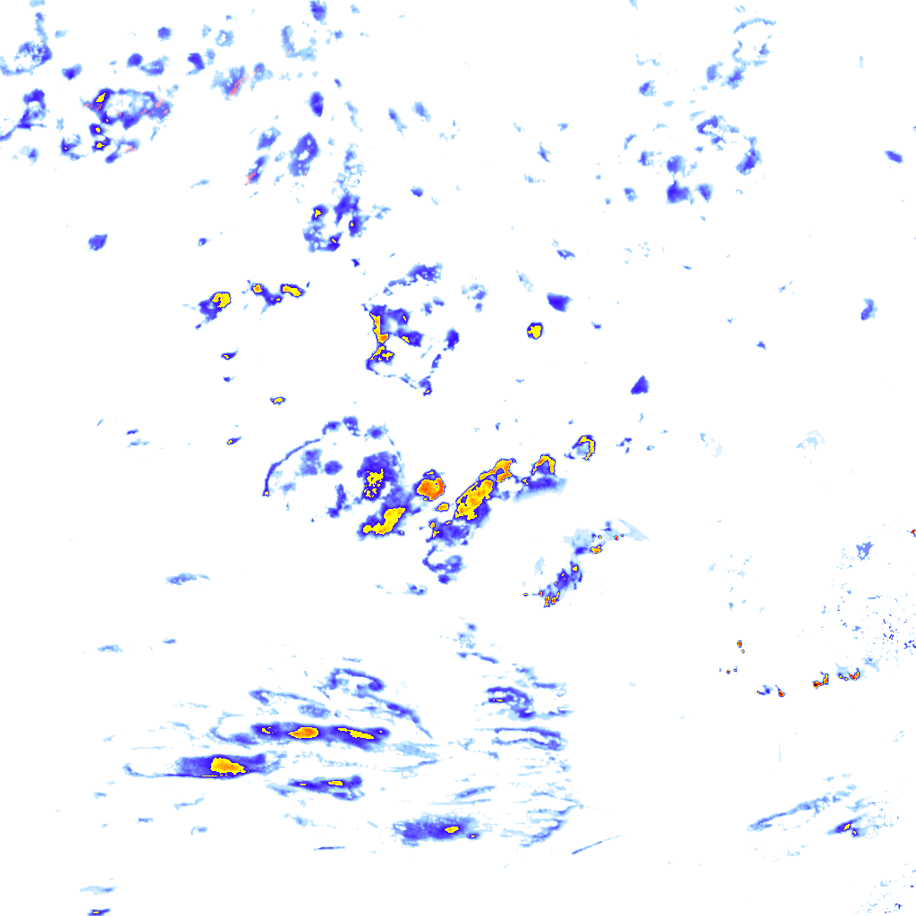 rainLayer