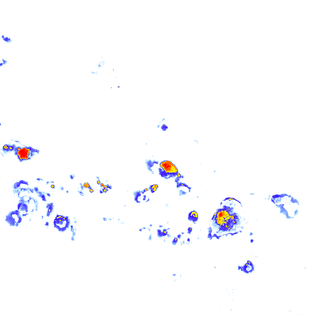 Image Layer