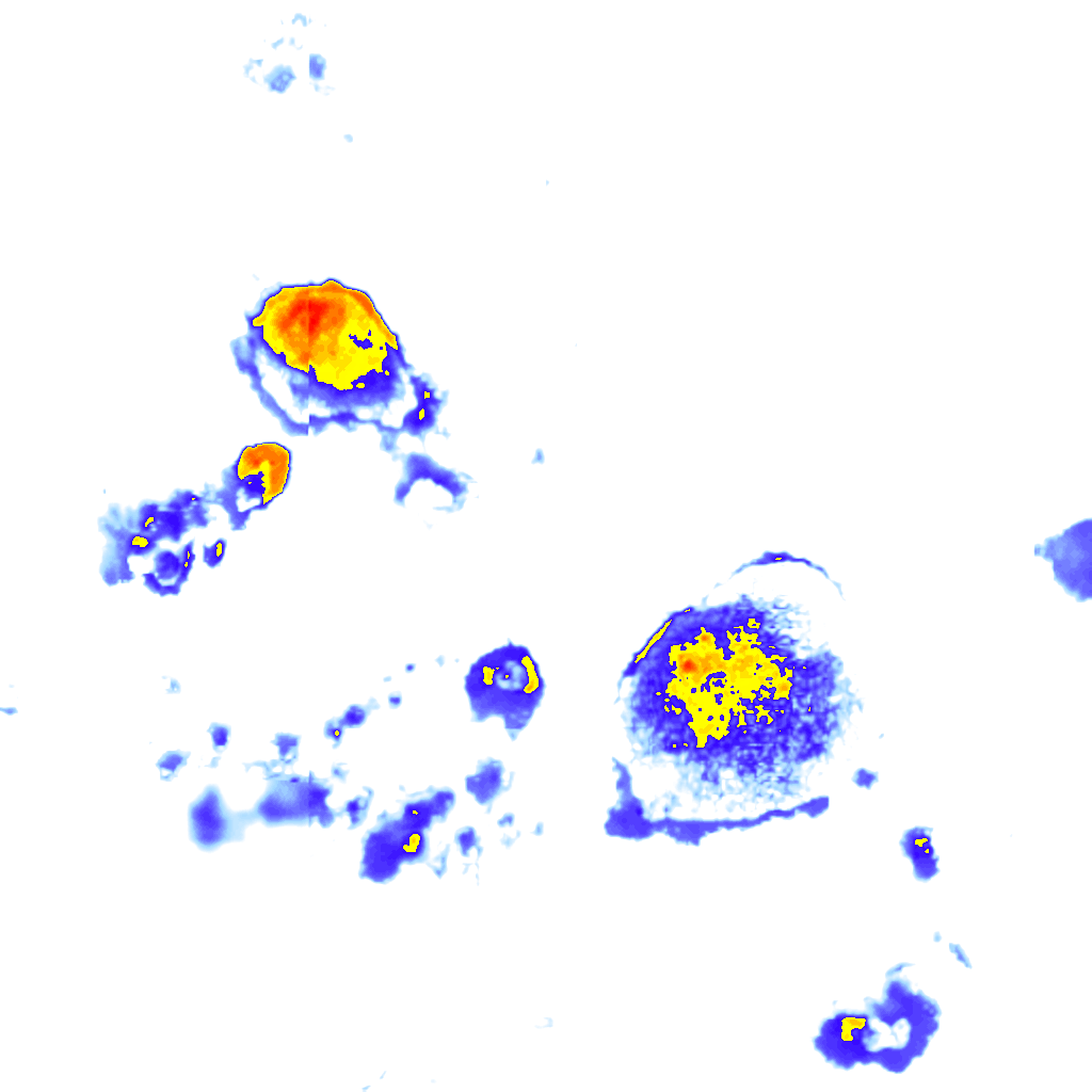 Image Layer