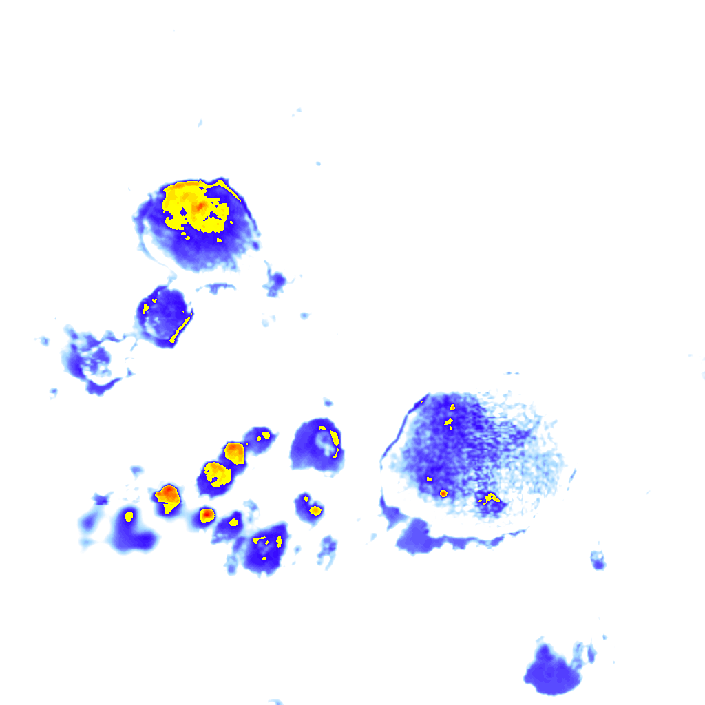 Image Layer