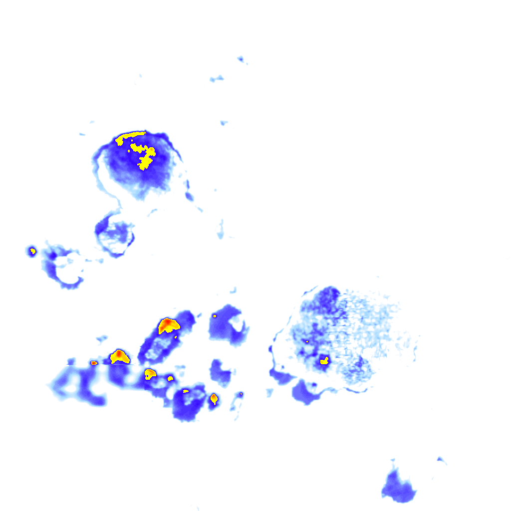 rainLayer