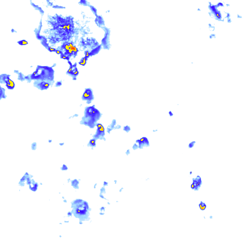 Image Layer