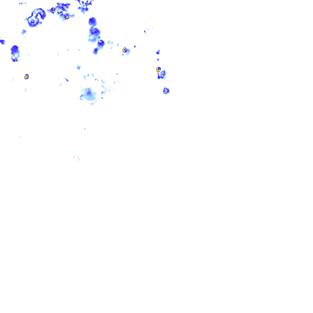 rainLayer