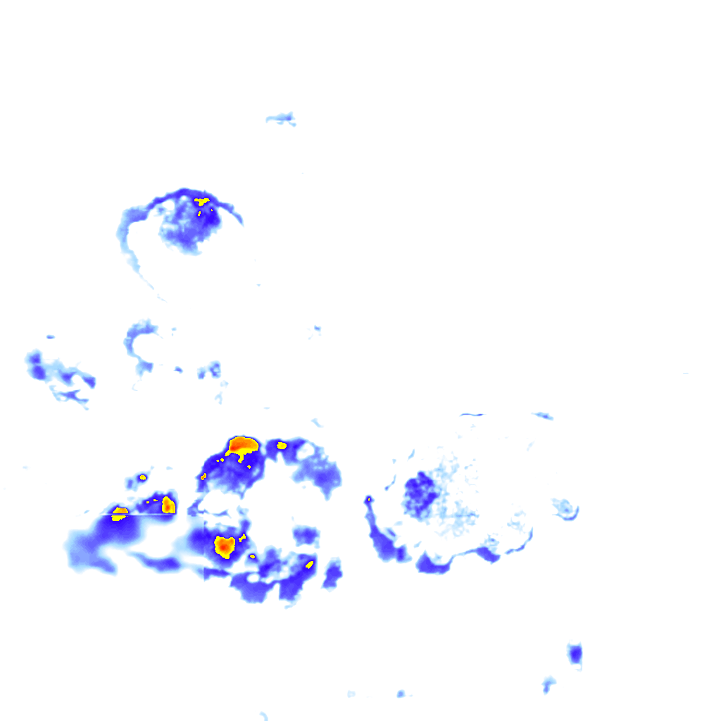 rainLayer