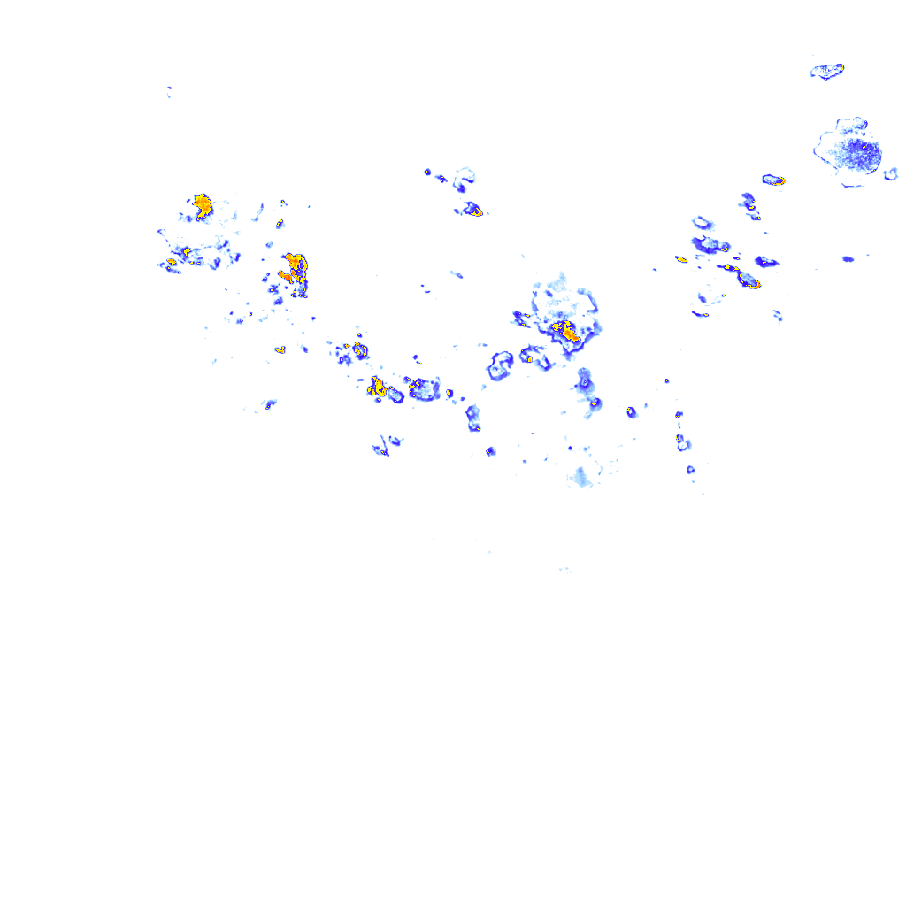 rainLayer