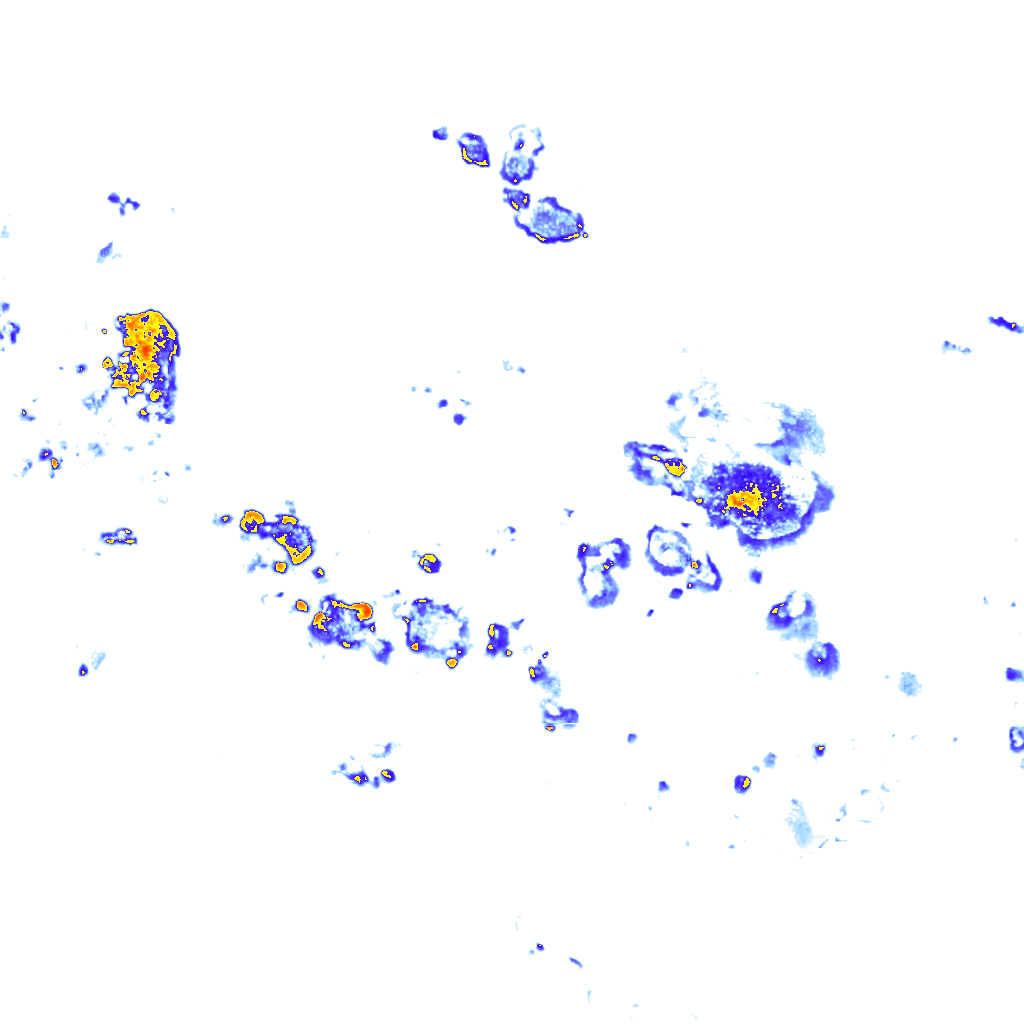 Image Layer