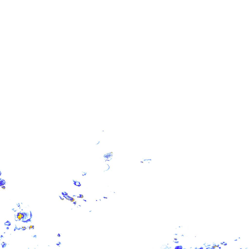 rainLayer