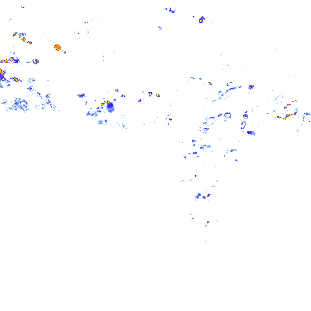 rainLayer