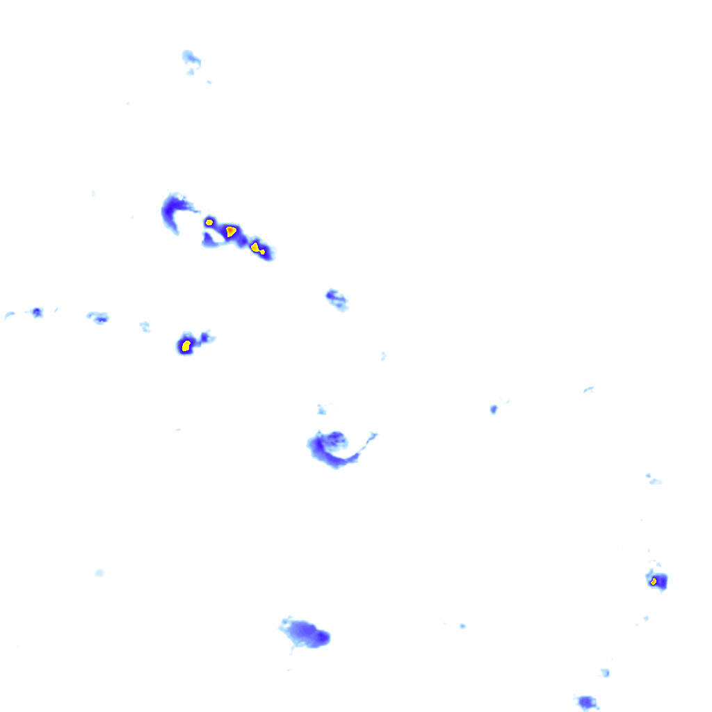 rainLayer