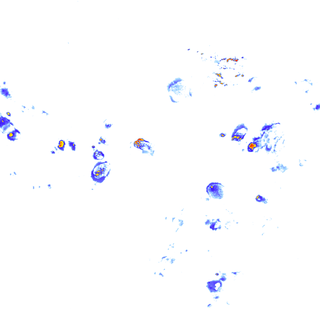 Image Layer