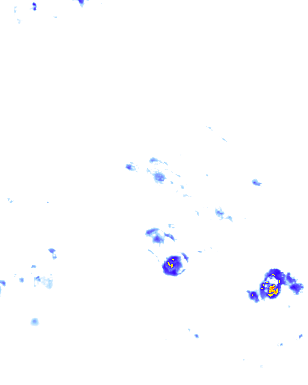 rainLayer