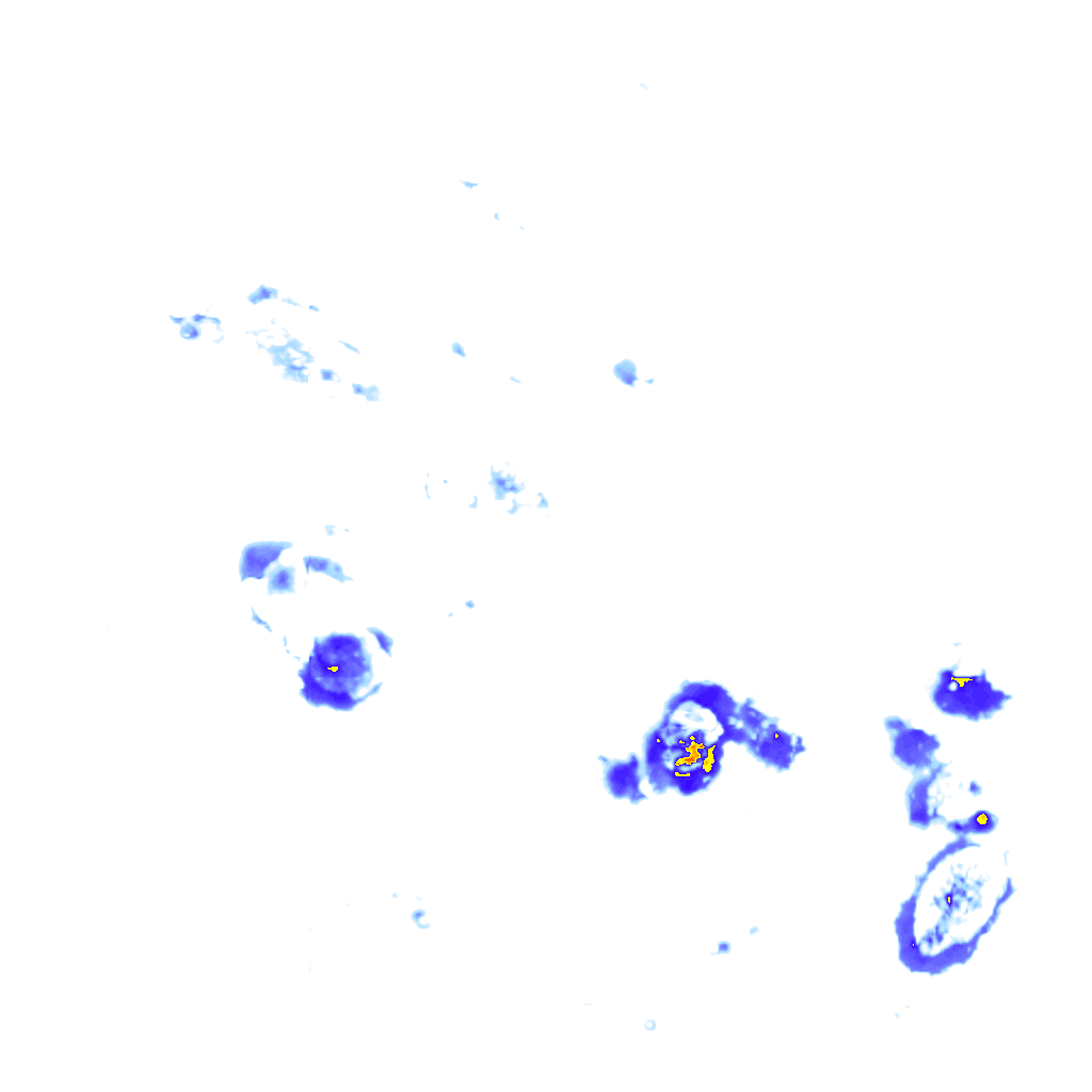 Image Layer