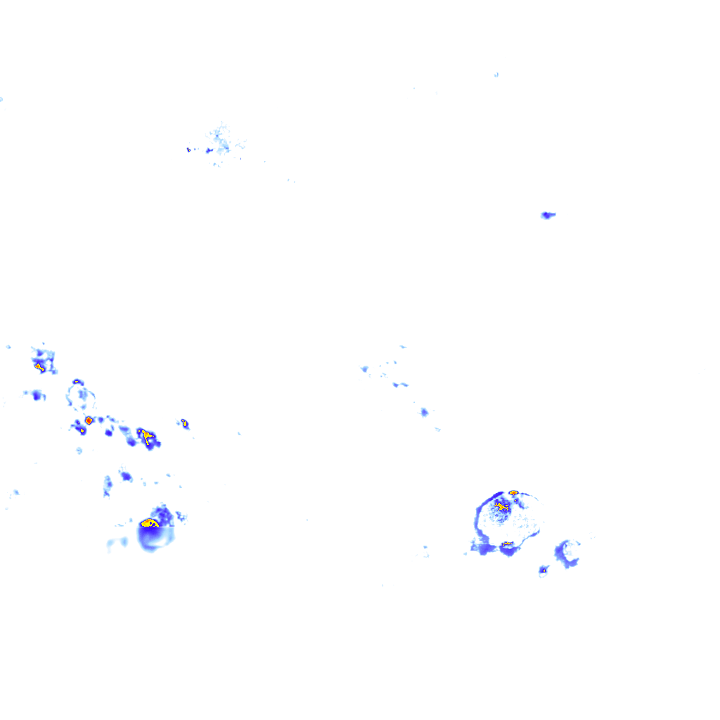 rainLayer
