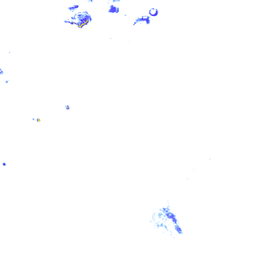 rainLayer