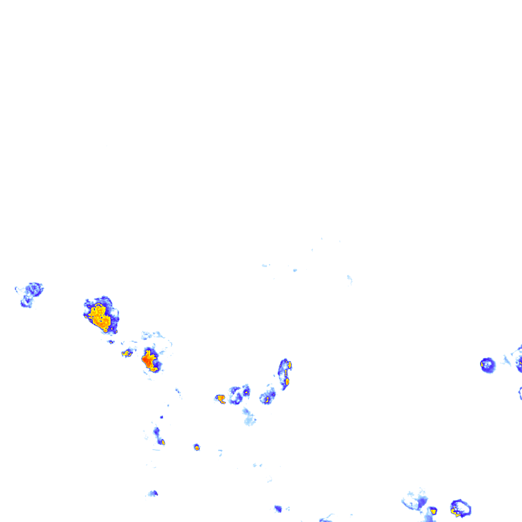 rainLayer
