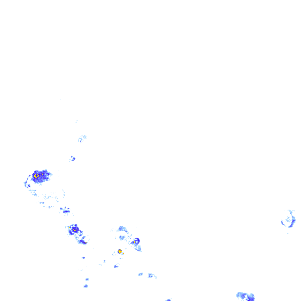 rainLayer