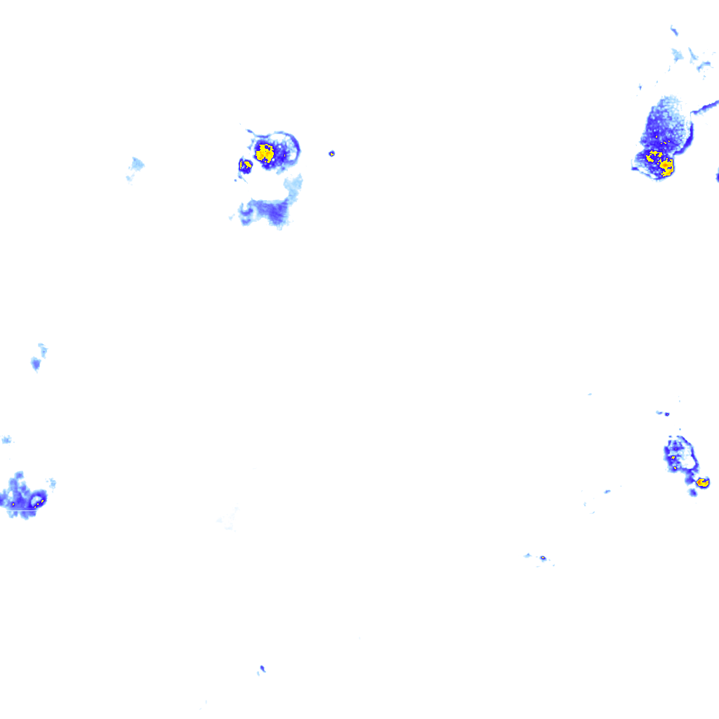 rainLayer