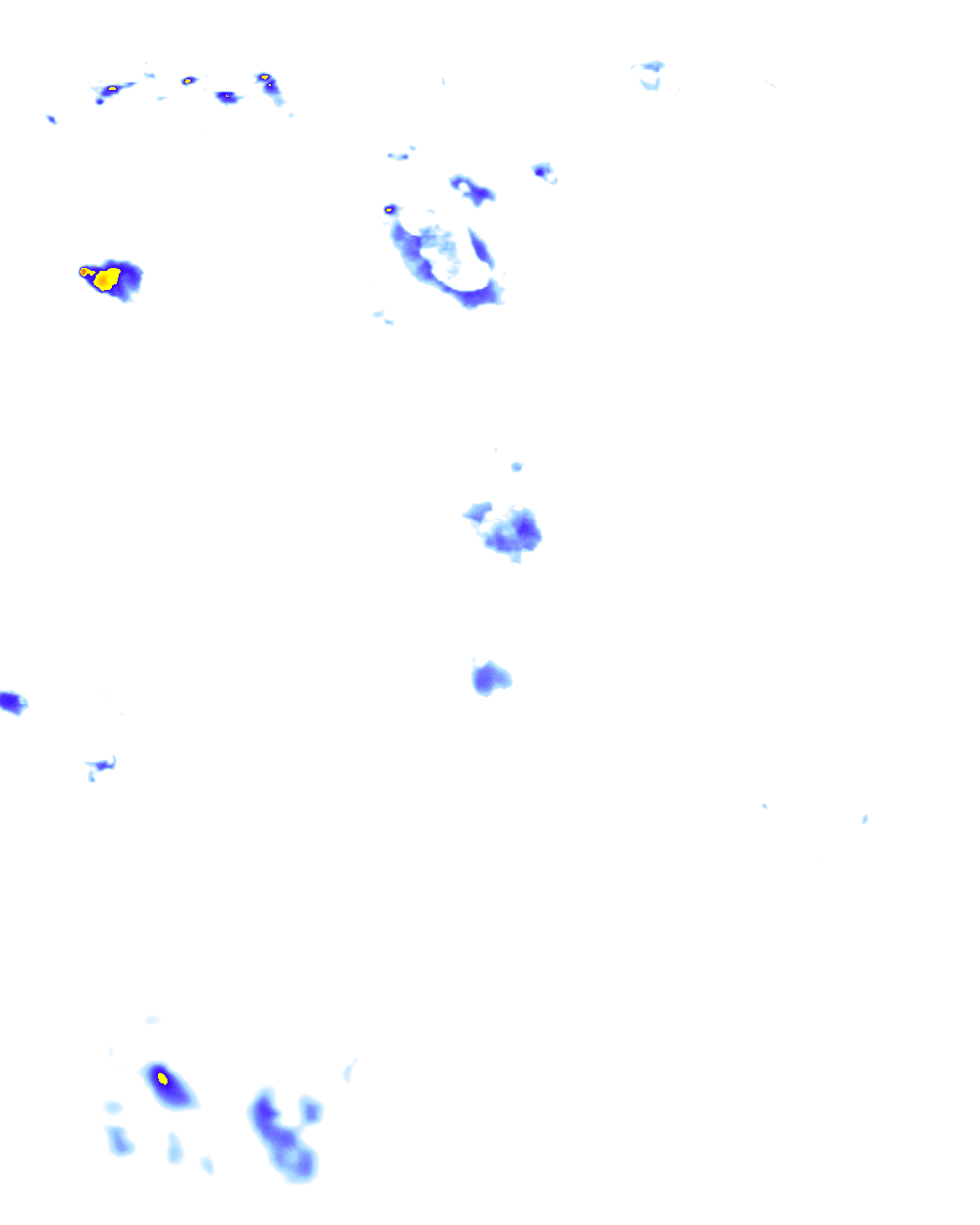 rainLayer