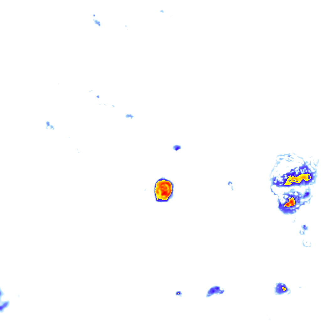 Image Layer