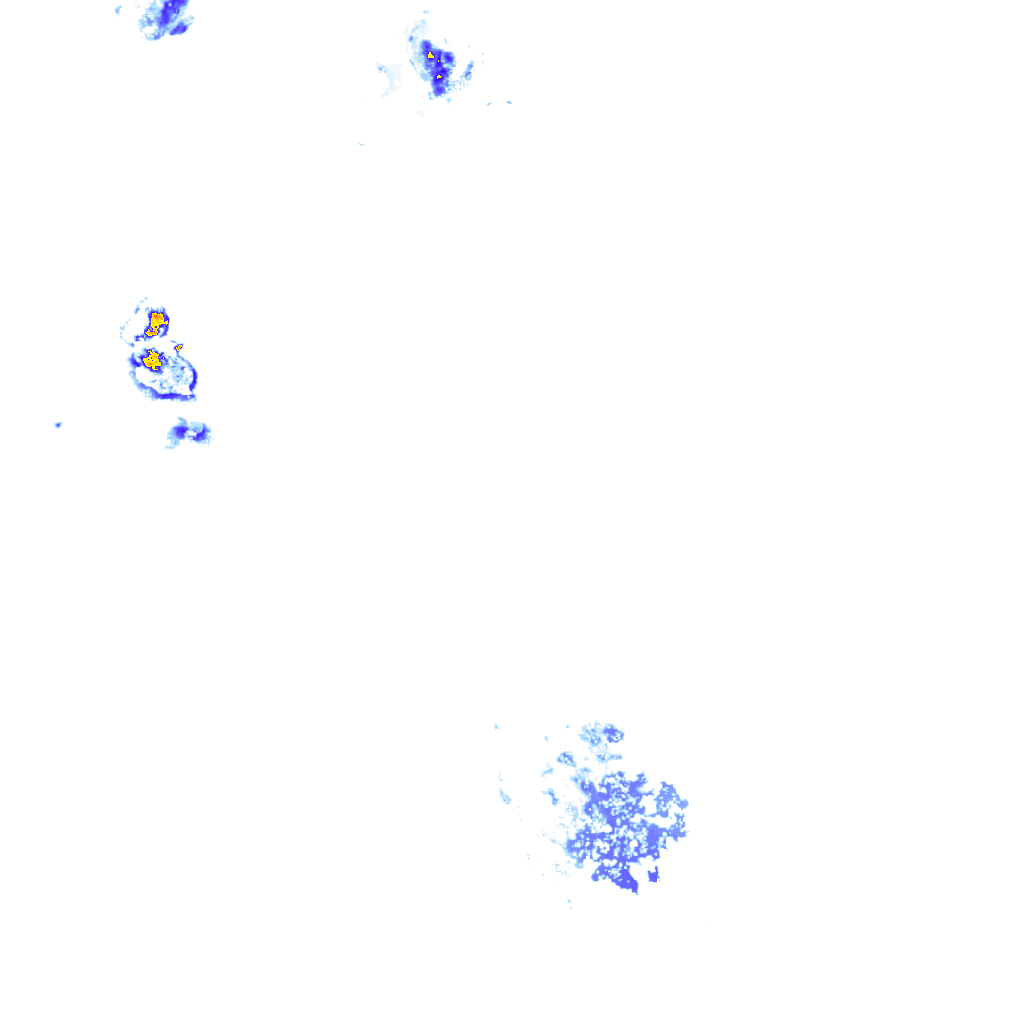 rainLayer