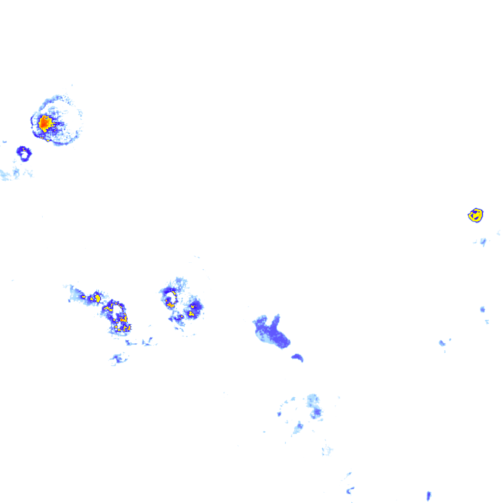 Image Layer