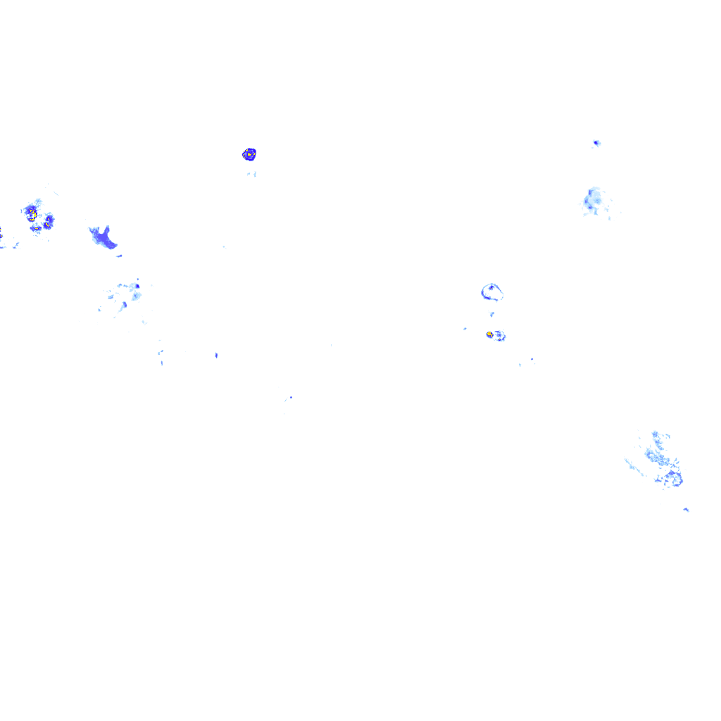 rainLayer