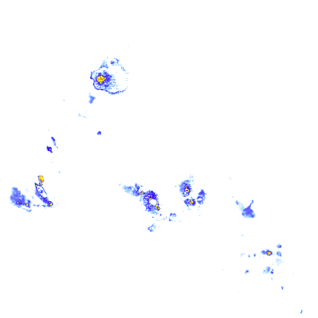 Image Layer