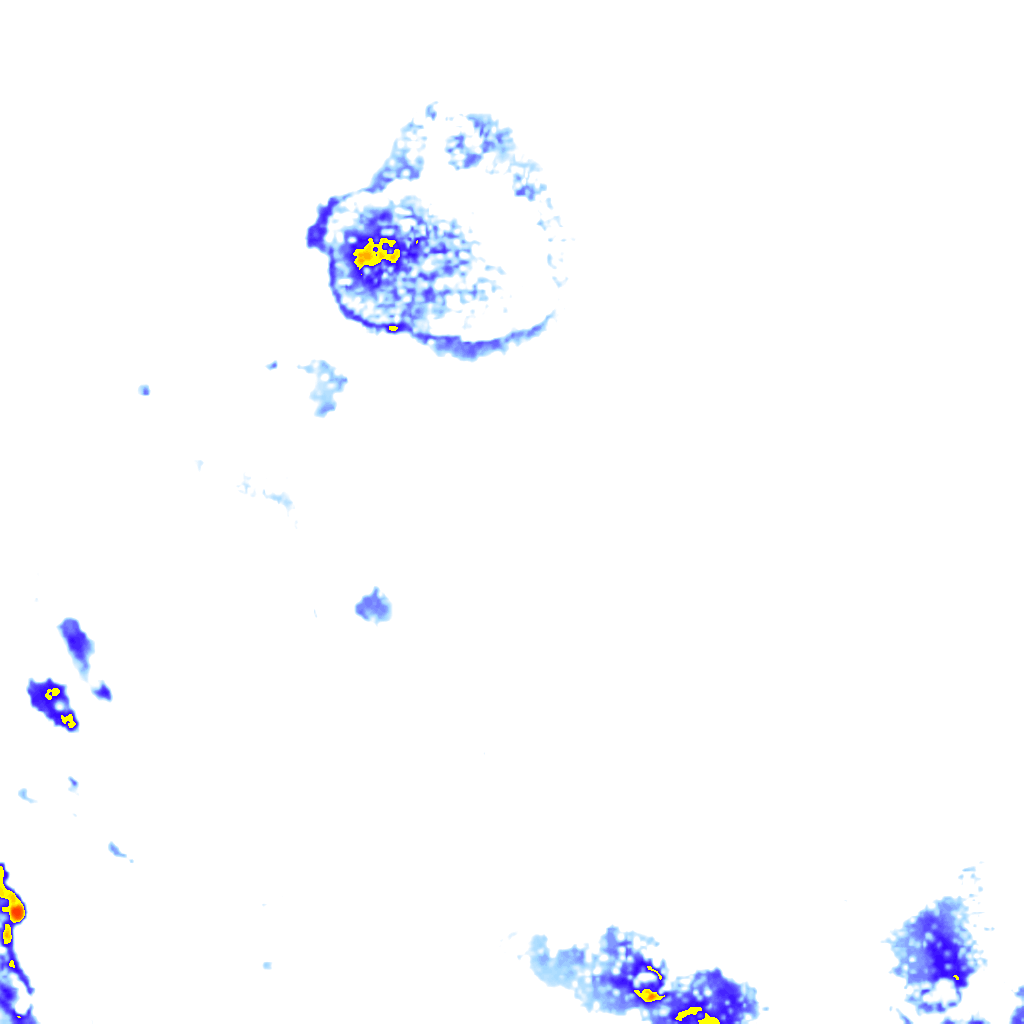 rainLayer