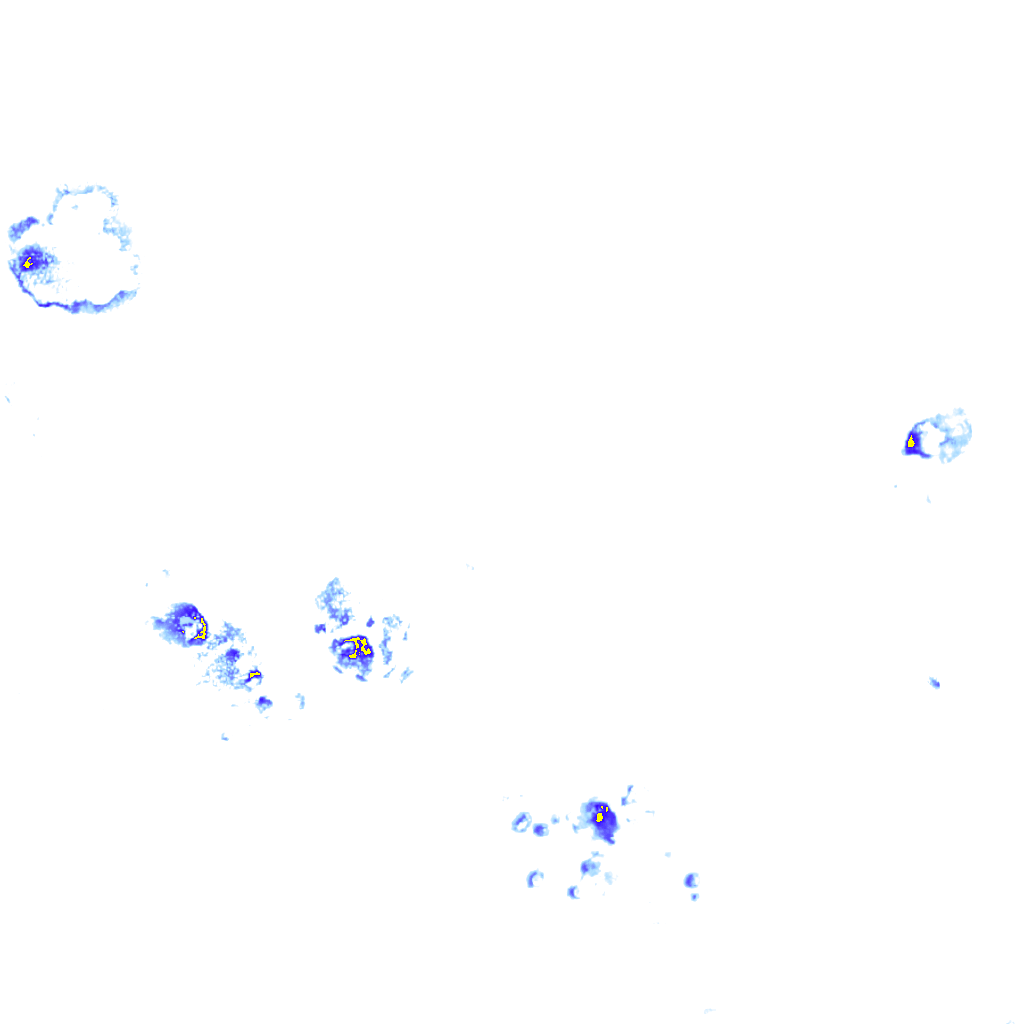 Image Layer