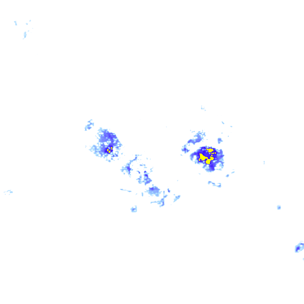 Image Layer