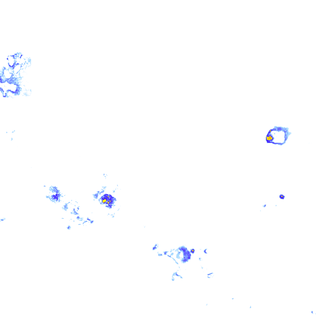 rainLayer