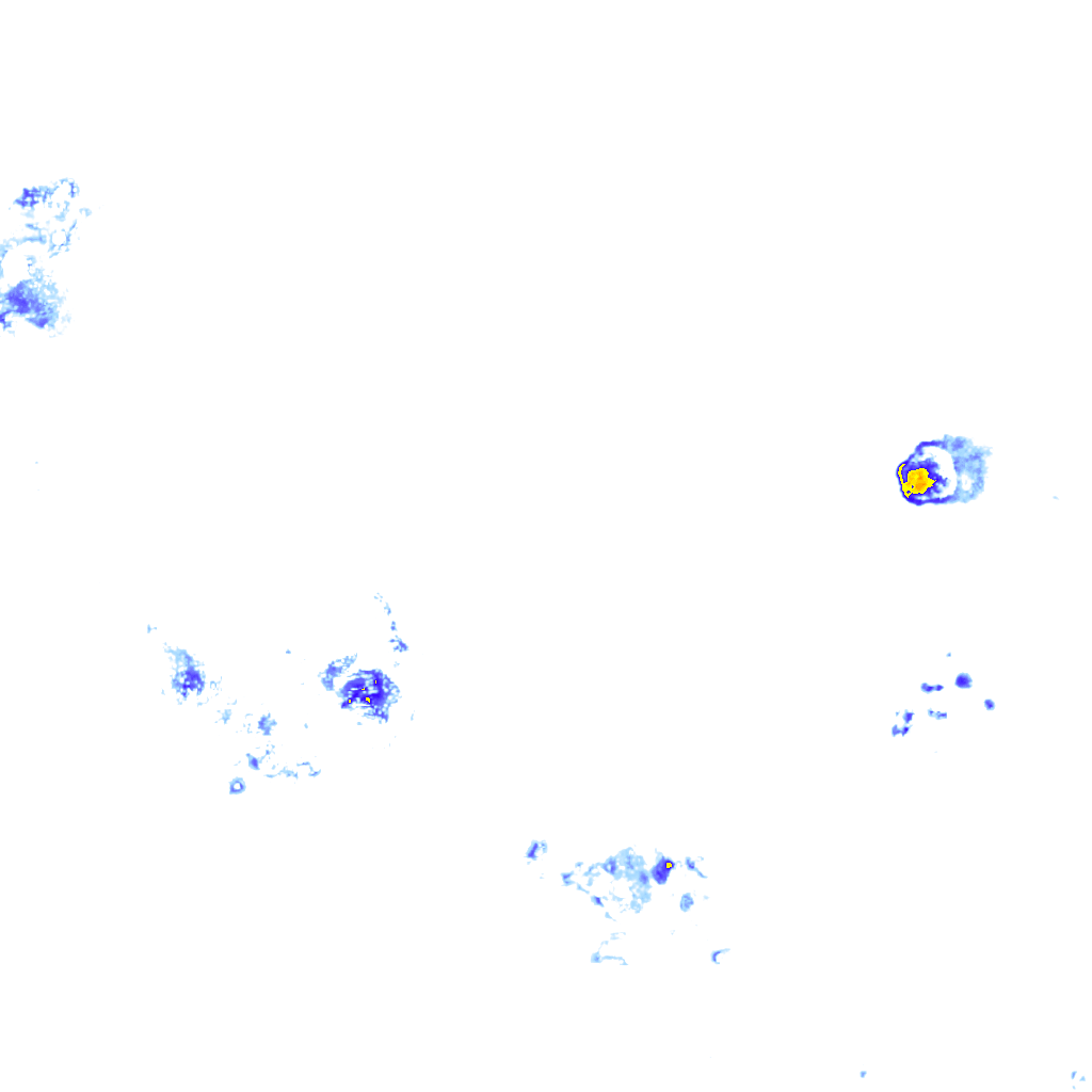 rainLayer