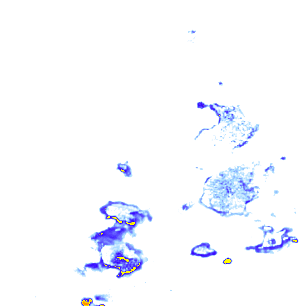 rainLayer