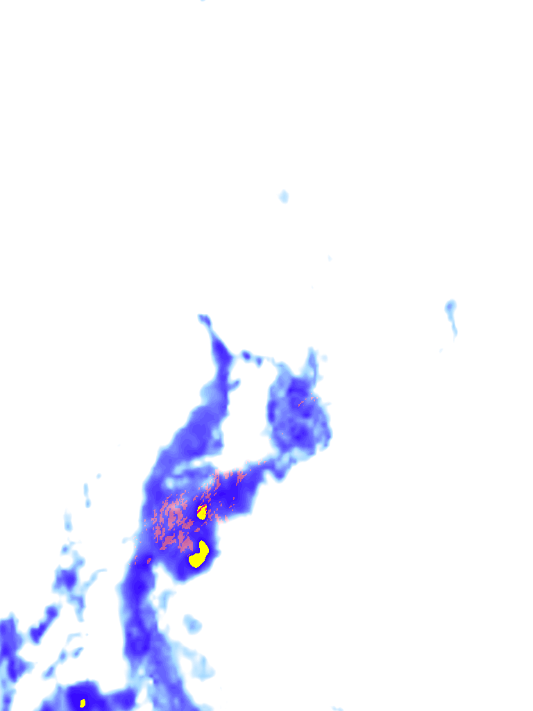 rainLayer