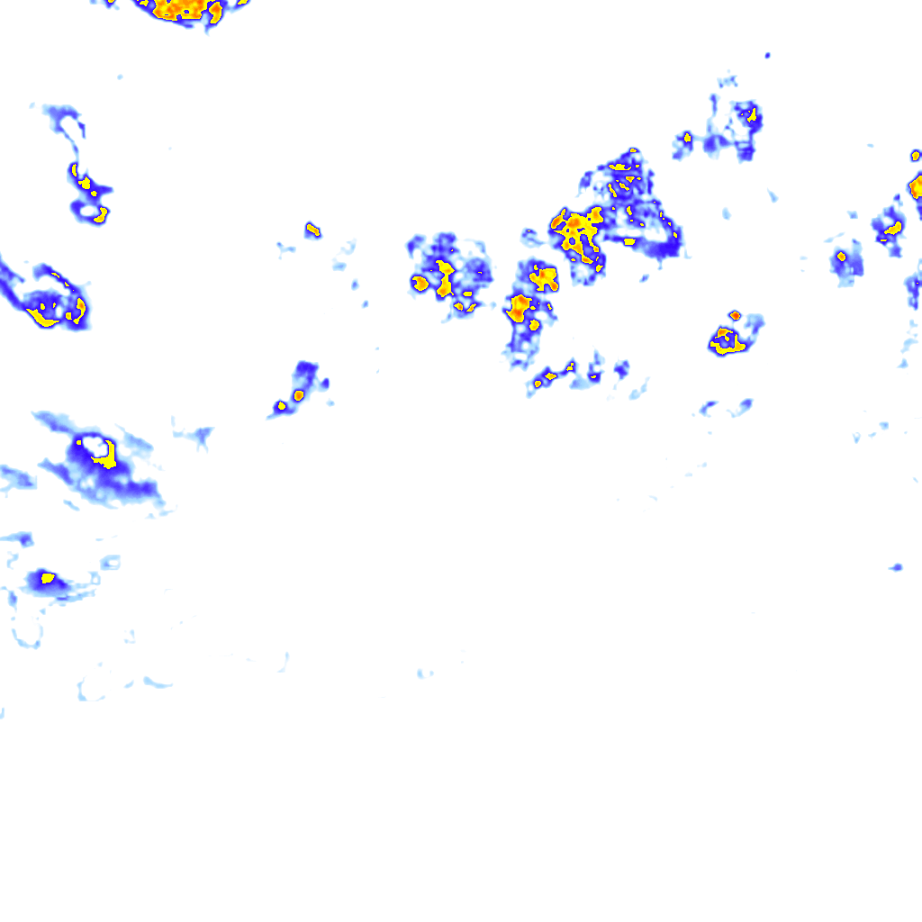 rainLayer