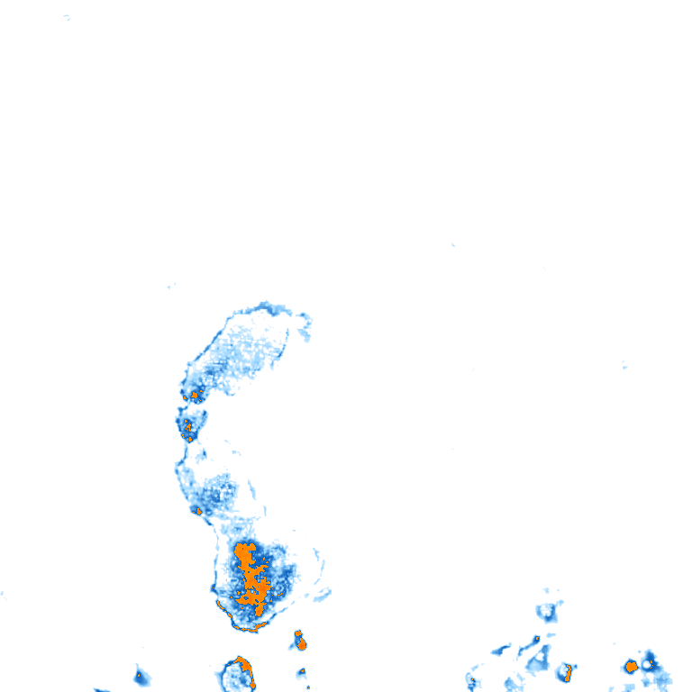 rain layer