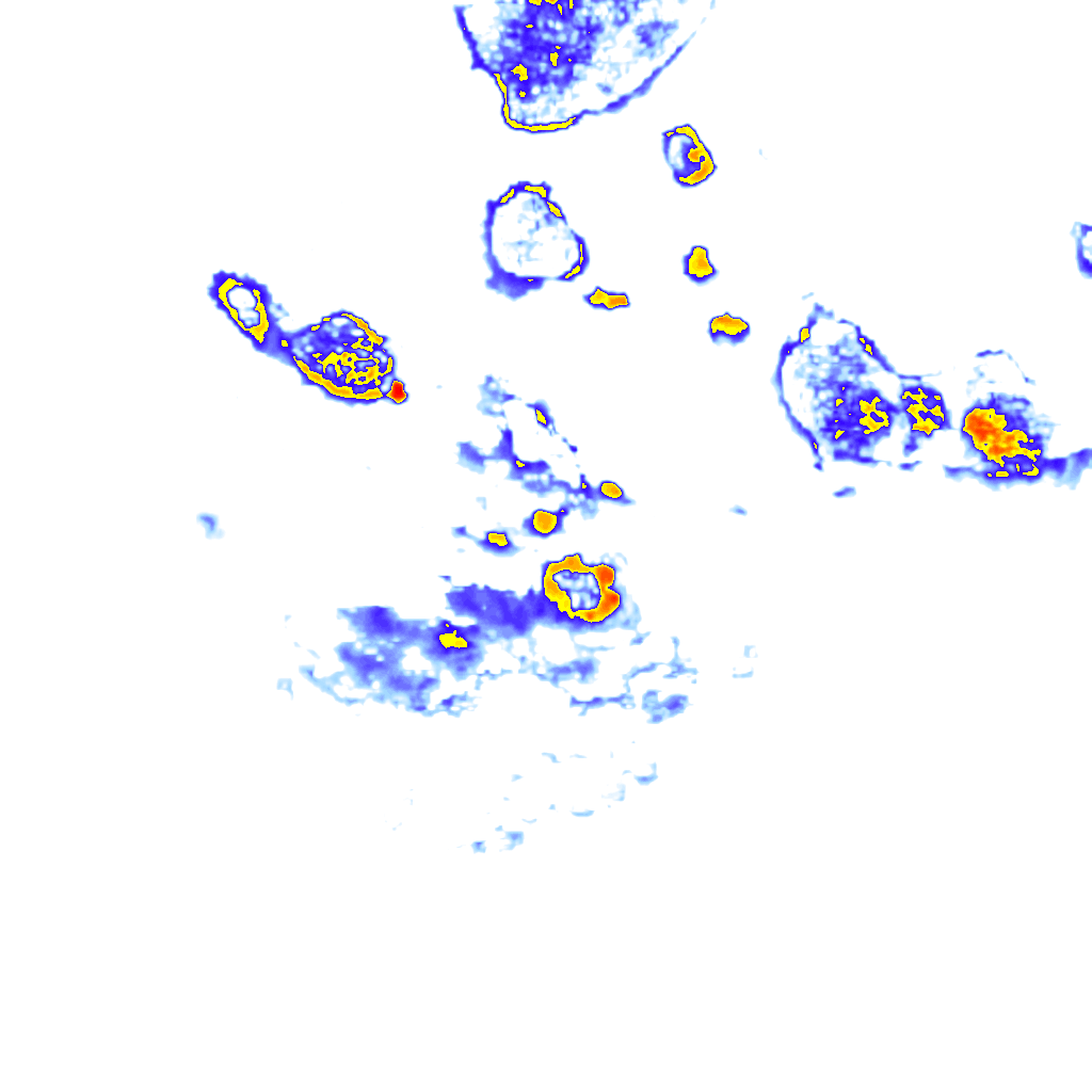 rainLayer