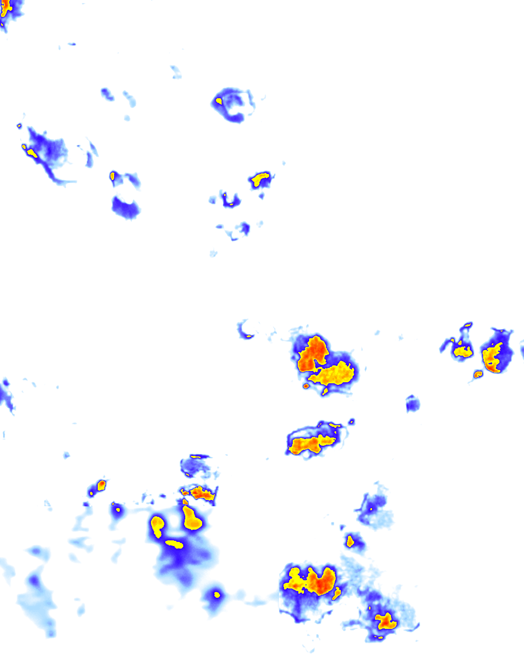 rainLayer