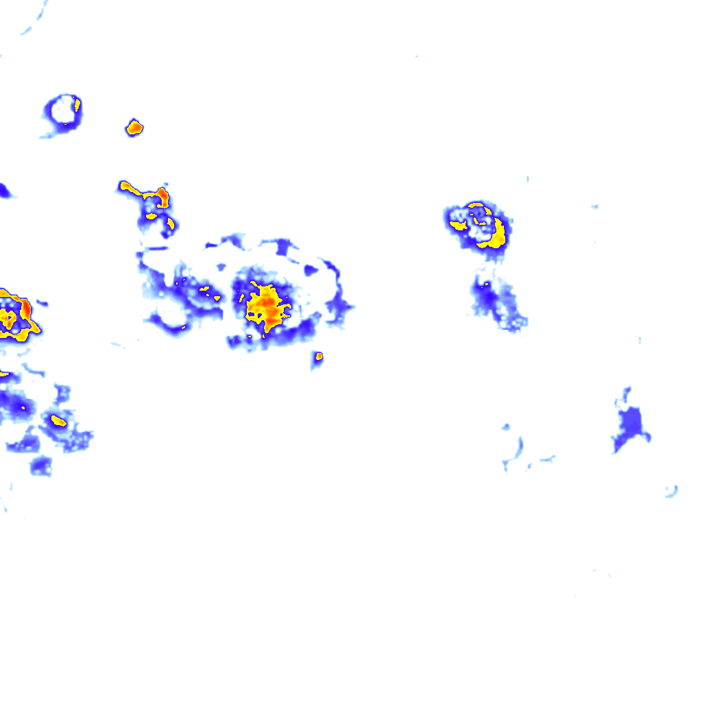 Image Layer
