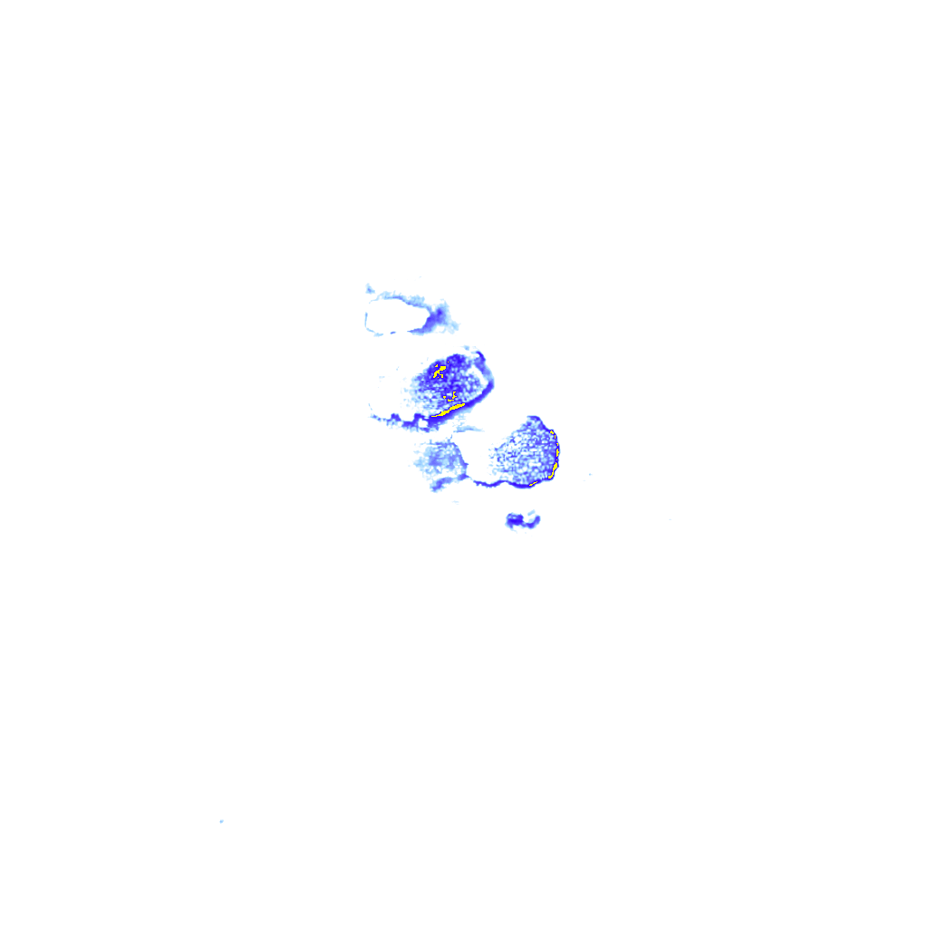 Image Layer